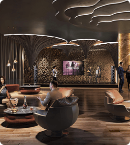 What sets DSR projects apart?